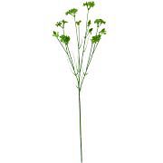 Tráva s mach. kvet.