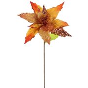 Vianočná ruža-sólo