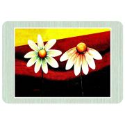 Prestieranie na stôl